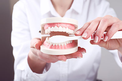 The image shows a person s hand holding an open dental model with teeth, while another hand adjusts the upper denture plate.